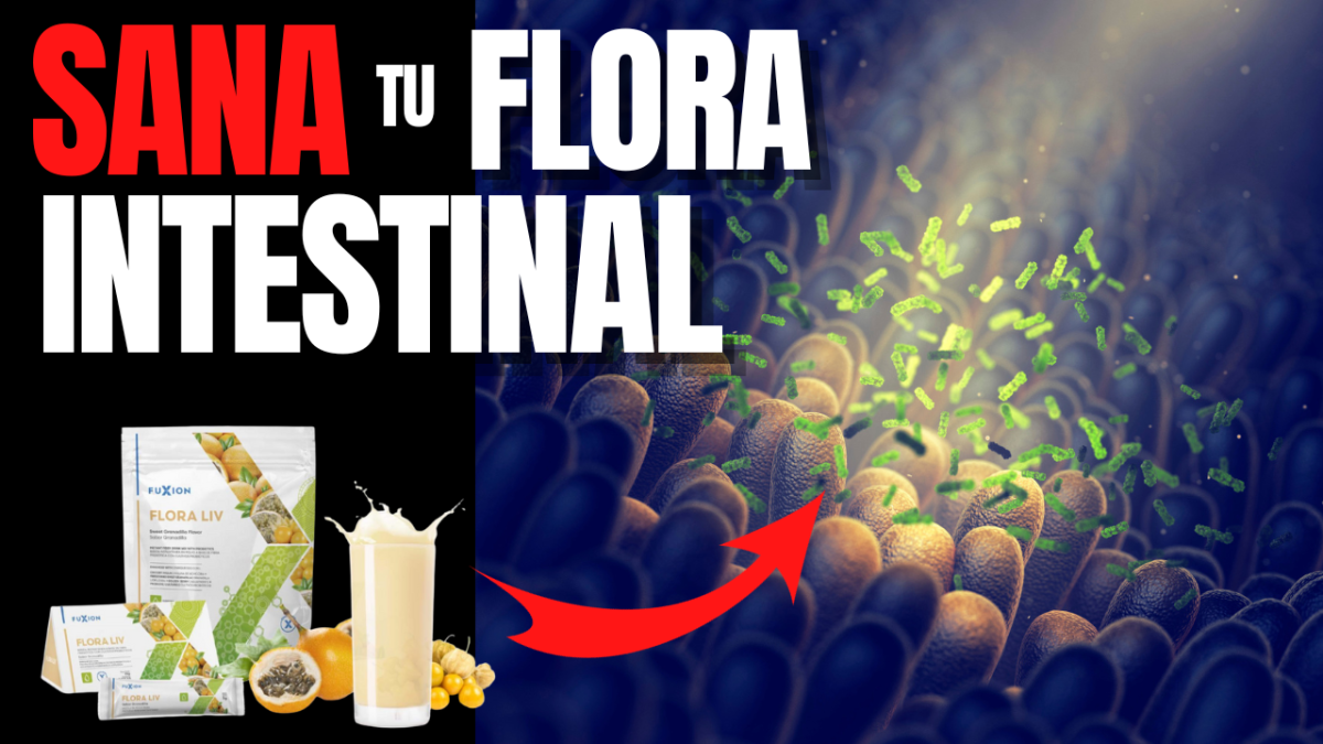 Como Restaurar La Flora Intestinal De Un Niño